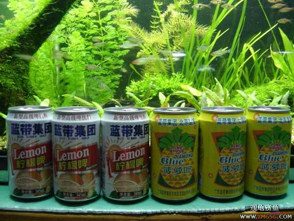 �տ����������ѵ�λ