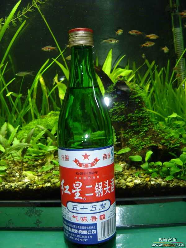 �տ����������ѵ�λ