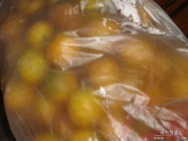 �տ����������ѵ�λ