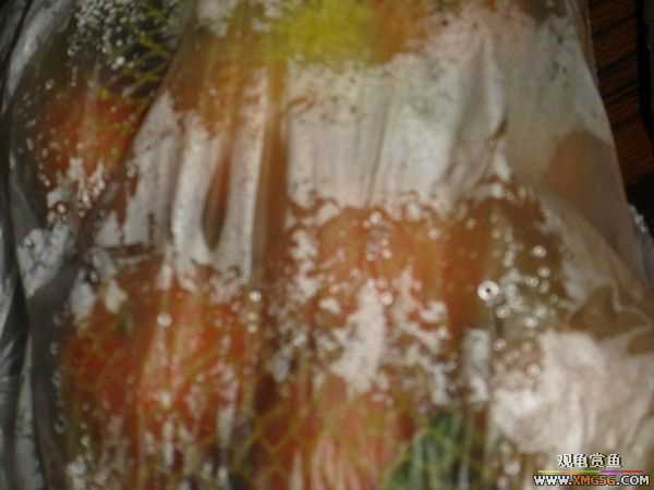 �տ����������ѵ�λ