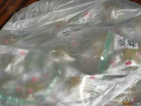 �տ����������ѵ�λ