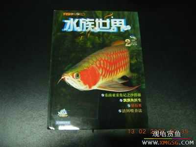 �����ϼܣ�ˮ������2006��1-6�ڣ�