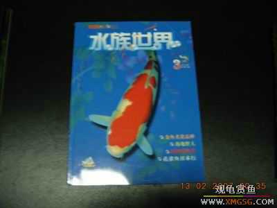 �����ϼܣ�ˮ������2006��1-6�ڣ�