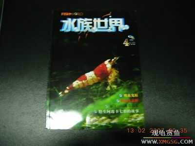 �����ϼܣ�ˮ������2006��1-6�ڣ�