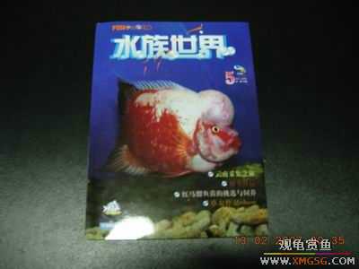 �����ϼܣ�ˮ������2006��1-6�ڣ�