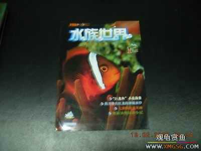 �����ϼܣ�ˮ������2006��1-6�ڣ�