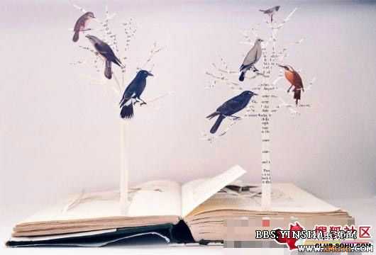 [ת��]��������������鱾����