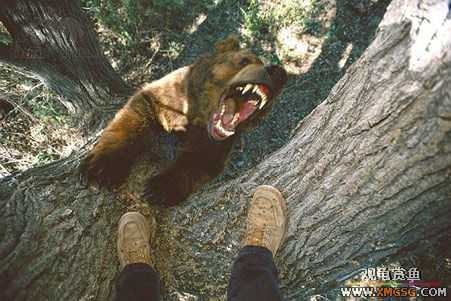 [��ͼ]��Ȼ��Ŀֲ��Ĵ���