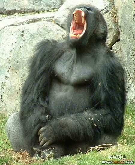 [��ͼ]��Ȼ��Ŀֲ��Ĵ���