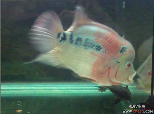 [����]������ת��һ��ˮͷ�޺�