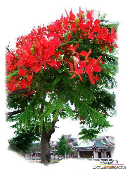 [ԭ��]�����ķ羰