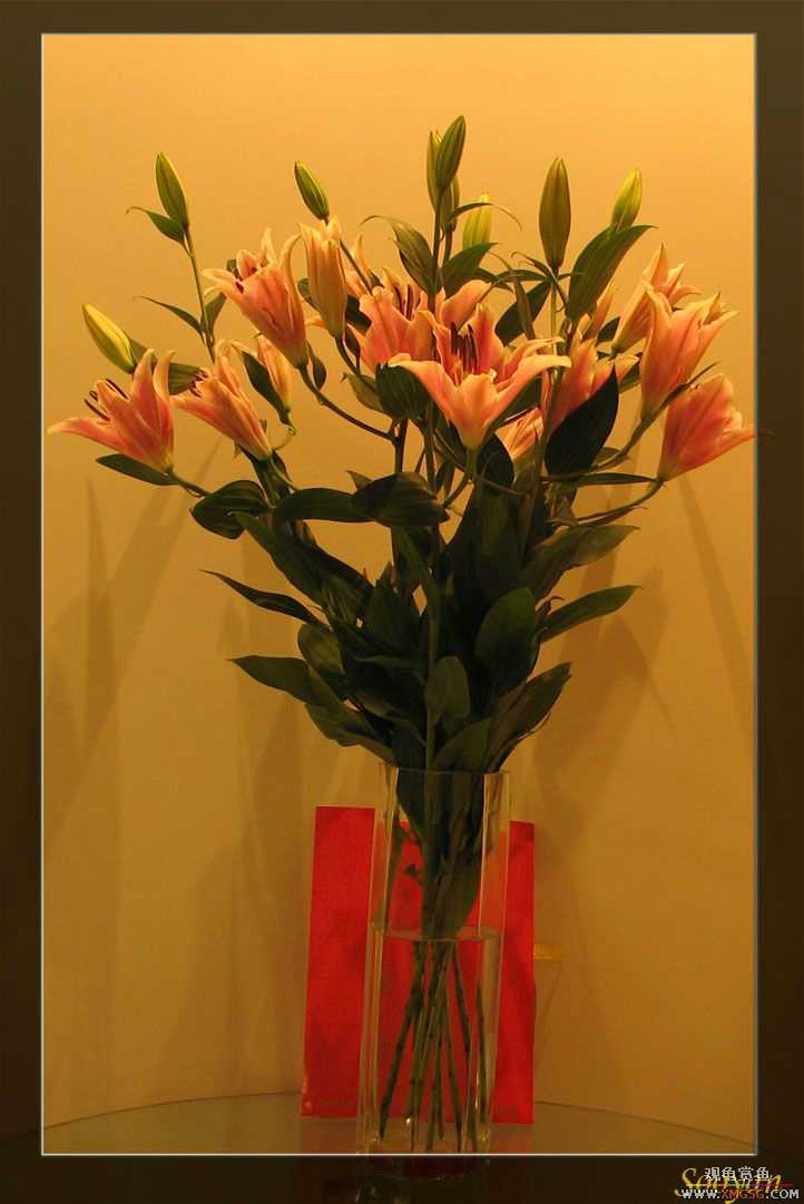 [����]2007���� ��ϲ��ϲ������ϲ��ϲ