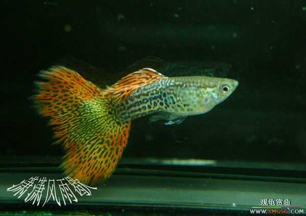 ����ϲϲ������!!!�������,������...