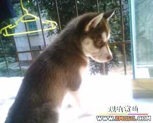 �������g�D׌����С��