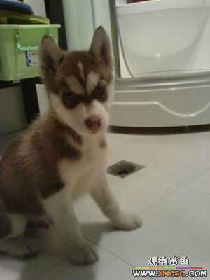 �������g�D׌����С��