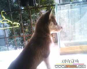 �������g�D׌����С��