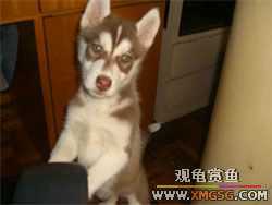 �������g�D׌����С��