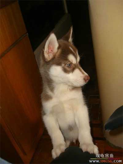 �������g�D׌����С��