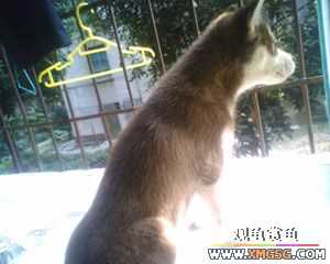 �������g�D׌����С��