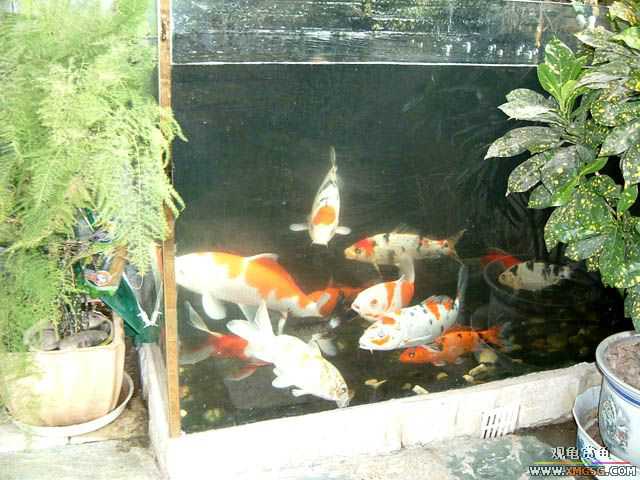 2007-02-18��һ ����֮��������