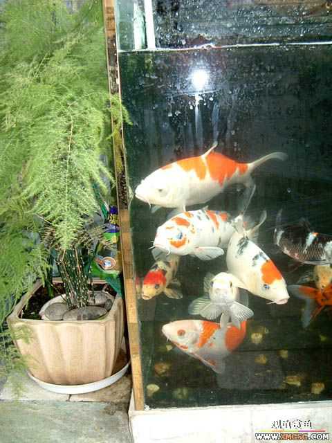 2007-02-18��һ ����֮��������