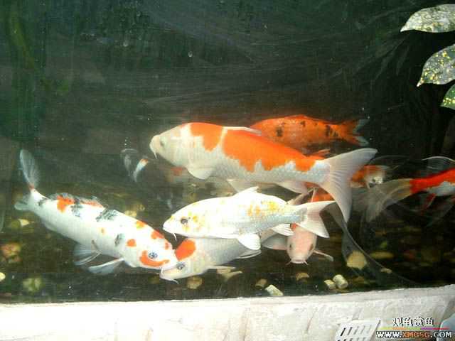 2007-02-18��һ ����֮��������