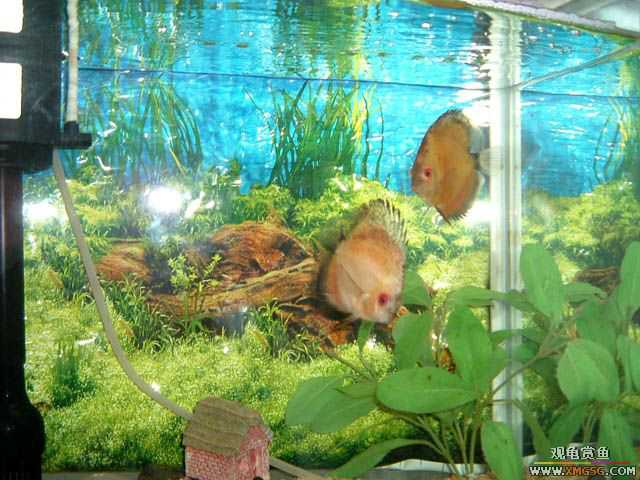 2007-02-18��һ ����֮��������