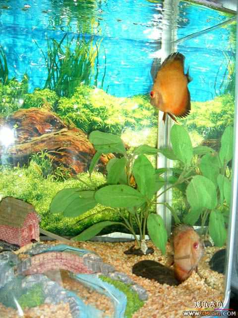 2007-02-18��һ ����֮��������