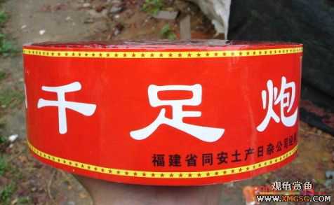 QQ 07 ����������