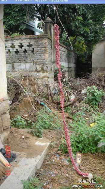 QQ 07 ����������