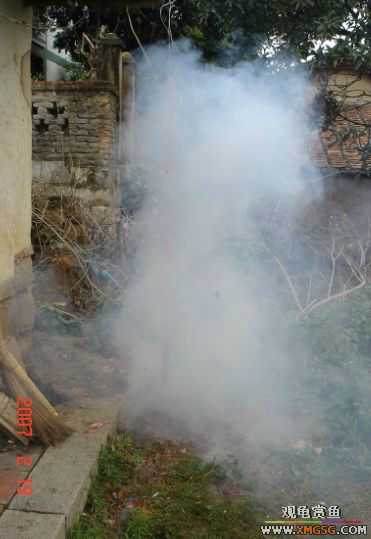 QQ 07 ����������