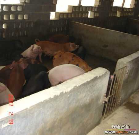 QQ 07 ����������