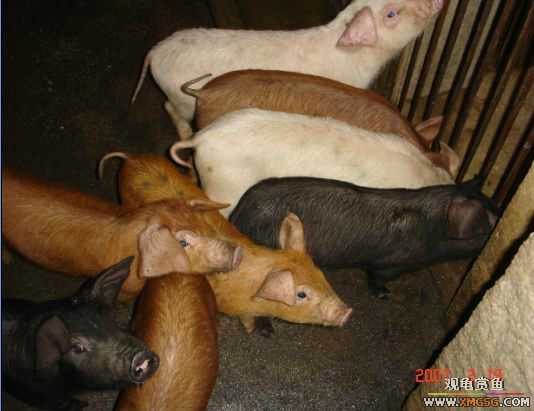 QQ 07 ����������