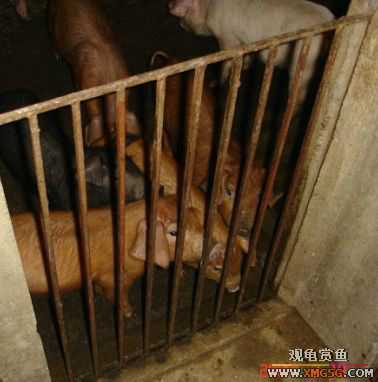 QQ 07 ����������