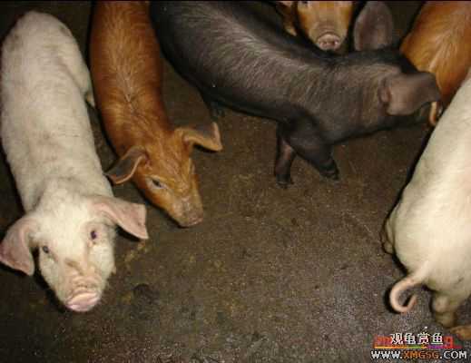 QQ 07 ����������