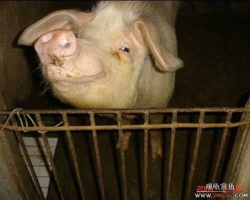 QQ 07 ����������