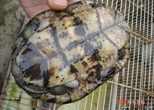 QQ 07 ����������