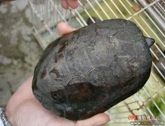 QQ 07 ����������