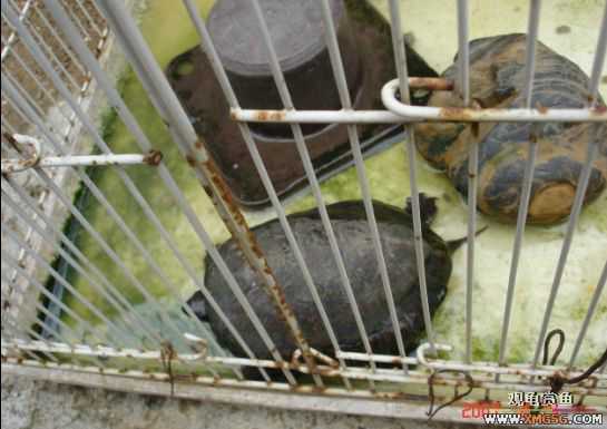 QQ 07 ����������