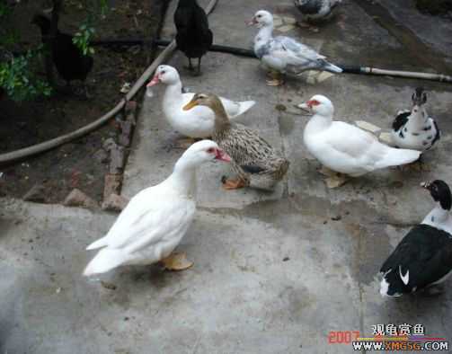 QQ 07 ����������