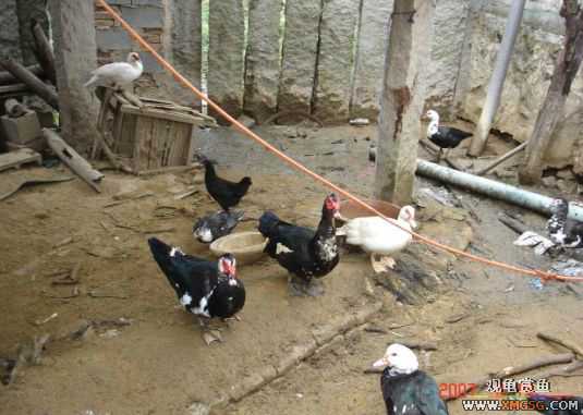 QQ 07 ����������