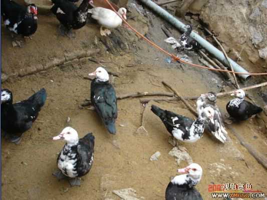 QQ 07 ����������