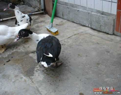 QQ 07 ����������