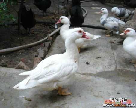 QQ 07 ����������