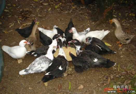 QQ 07 ����������