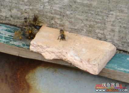 QQ 07 ����������