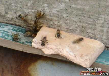 QQ 07 ����������