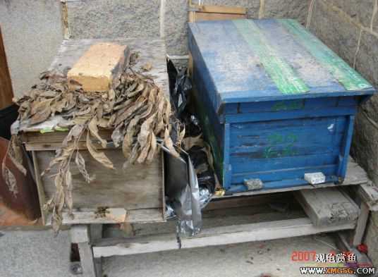 QQ 07 ����������