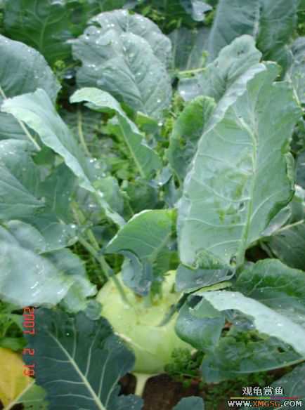 QQ 07 ����������