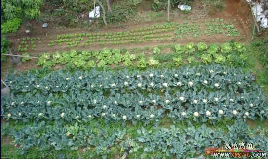 QQ 07 ����������